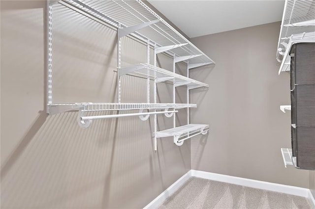spacious closet with carpet