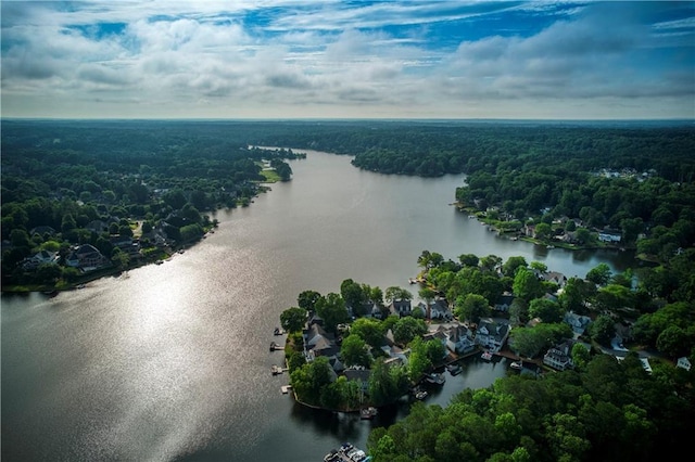 3795 Newport Bay Dr, Alpharetta, GA 30005 - aerial view of a nearby body of water