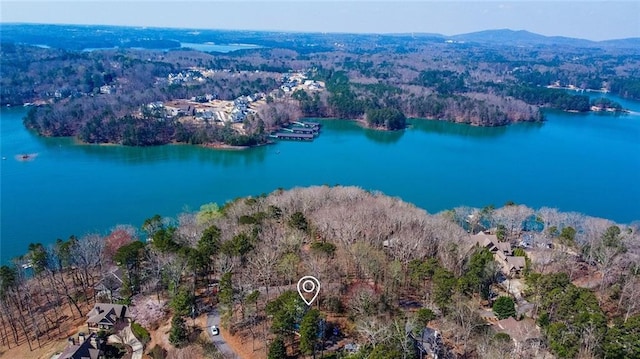 birds eye view of property featuring a water and mountain view