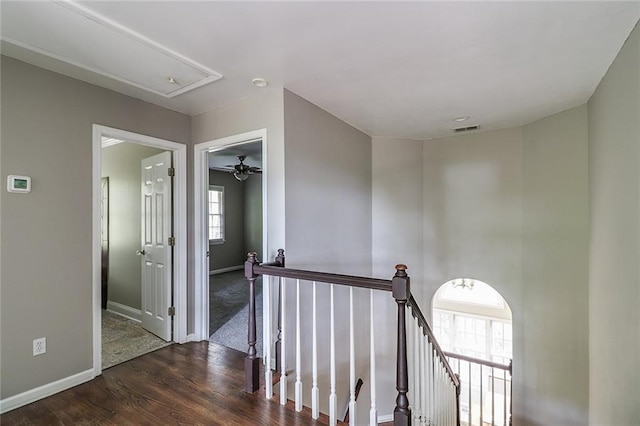 hallway featuring dark hardwood / wood-style flooring