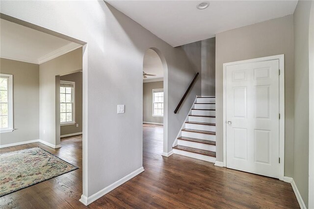 entryway with dark wood-type flooring and ornamental molding