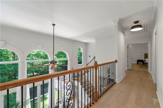 hall with crown molding, plenty of natural light, and light hardwood / wood-style floors