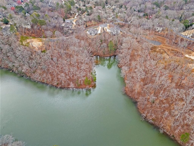 120 Nezhat Pl, Atlanta, GA 30350 - aerial view of property's location featuring a large body of water