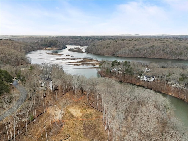120 Nezhat Pl, Atlanta, GA 30350 - water view featuring a forest