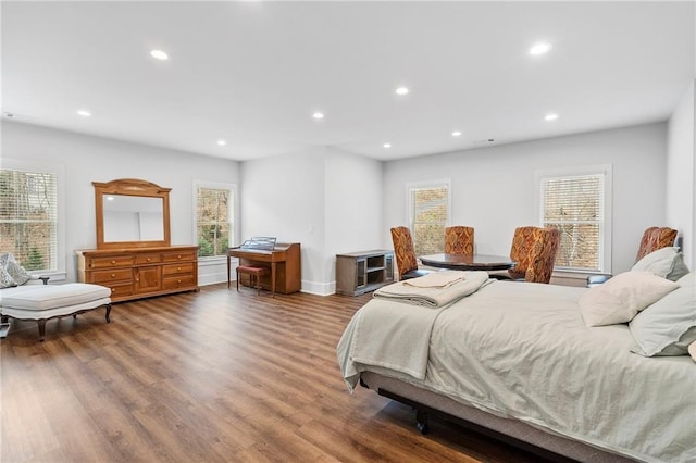 120 Nezhat Pl, Atlanta, GA 30350 - bedroom featuring wood finished floors, recessed lighting, multiple windows, and baseboards