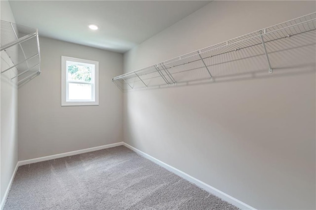 spacious closet featuring carpet floors