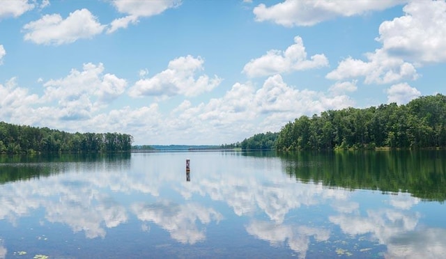 water view with a forest view