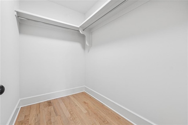 walk in closet featuring wood-type flooring