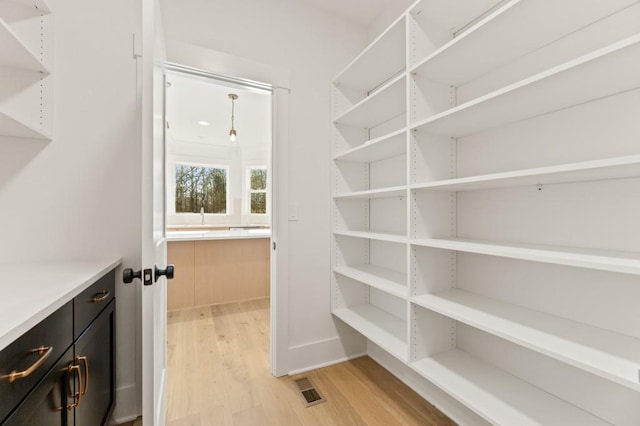 2410 Glade Overlook, Cumming, GA 30041 - view of pantry