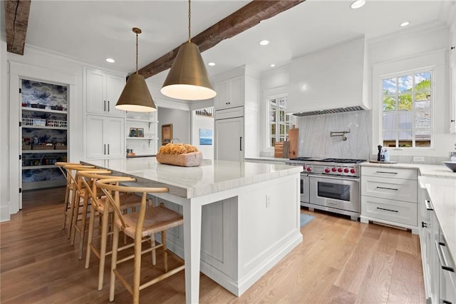 1141 Ragley Hall Rd NE, Brookhaven, GA 30319 - kitchen featuring light stone countertops, premium appliances, recessed lighting, and crown molding
