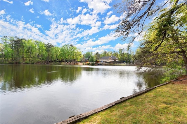 1141 Ragley Hall Rd NE, Brookhaven, GA 30319 - water view
