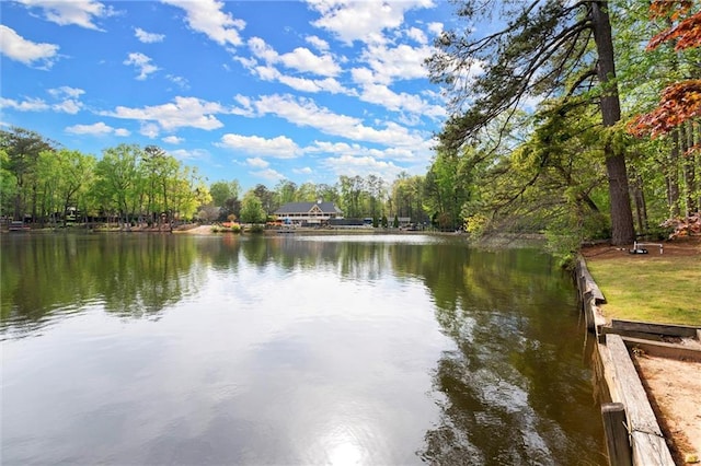 1141 Ragley Hall Rd NE, Brookhaven, GA 30319 - water view