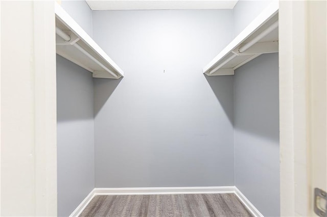 walk in closet with wood finished floors