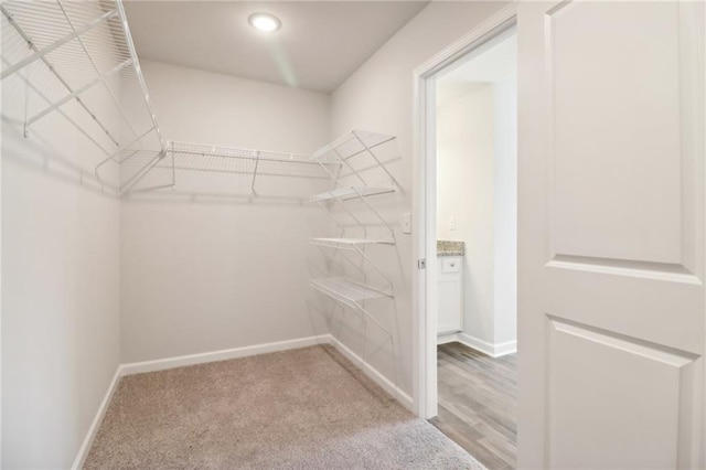 11113 Suria Dr, Covington, GA 30014 - walk in closet featuring light carpet