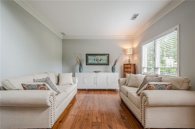10865 Glenhurst Pass, Duluth, GA 30097 - living room with crown molding and wood-type flooring