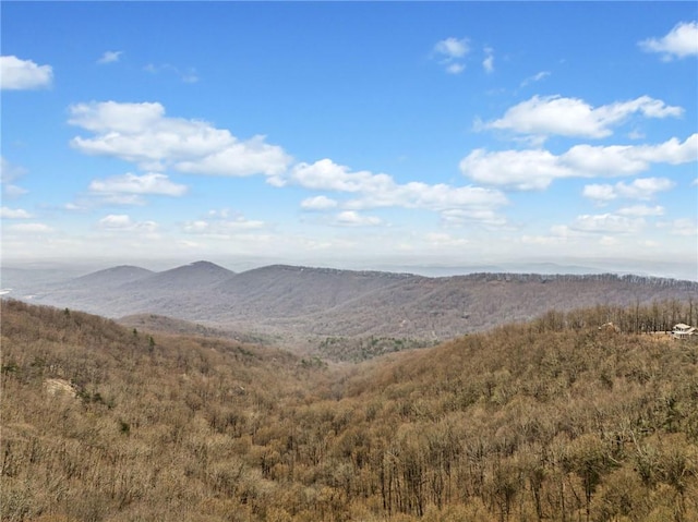 view of mountain feature