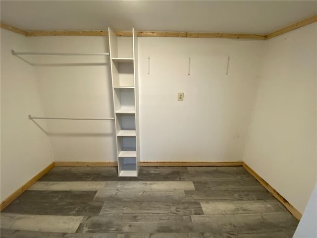 walk in closet featuring hardwood / wood-style floors