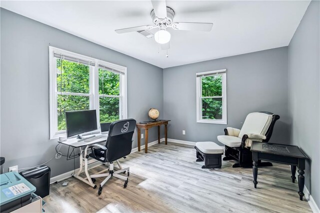 21 Basin Ct, Jasper, GA 30143 - office space featuring ceiling fan and light wood-style floors