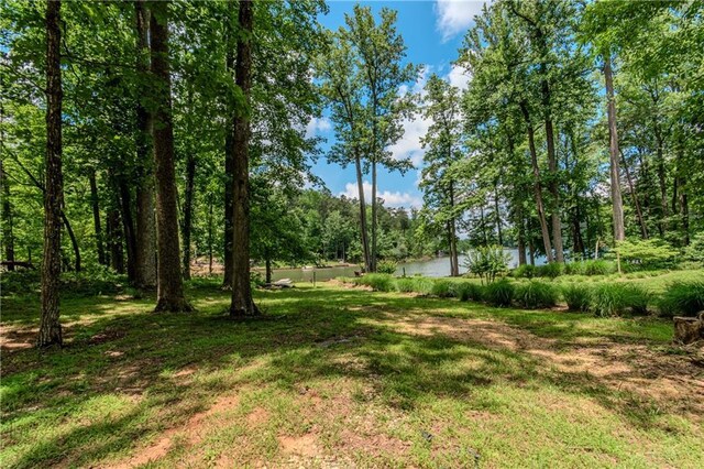 21 Basin Ct, Jasper, GA 30143 - dock with a water view and a forest view
