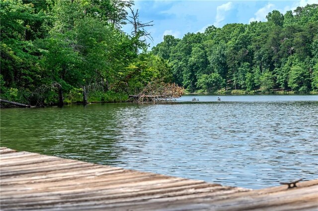 21 Basin Ct, Jasper, GA 30143 - surrounding community featuring driveway and a wooded view