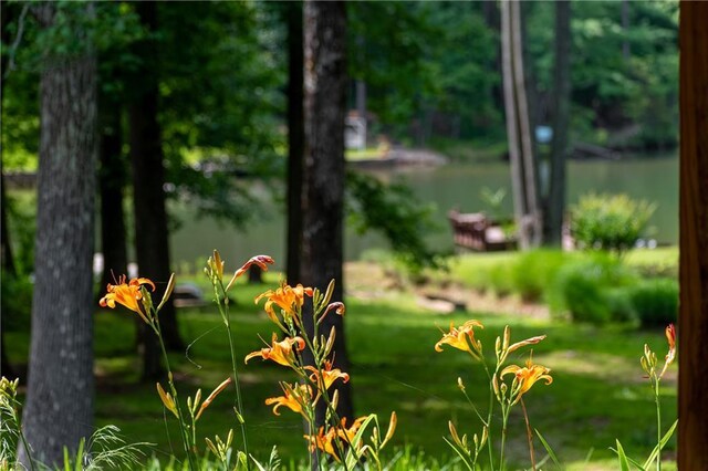 21 Basin Ct, Jasper, GA 30143