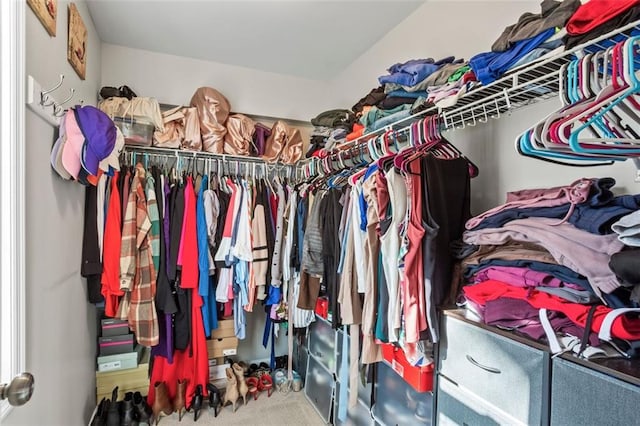 spacious closet featuring carpet