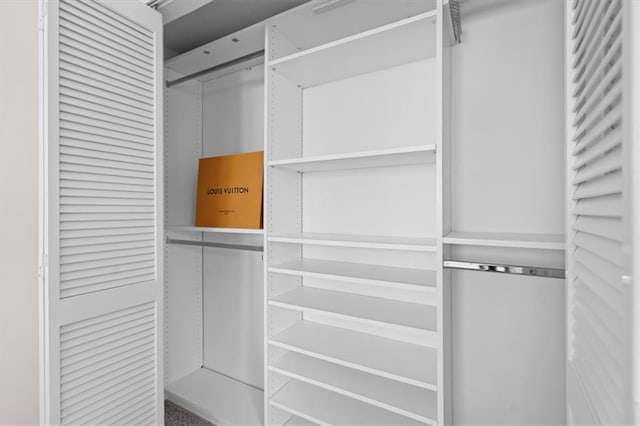 view of walk in closet