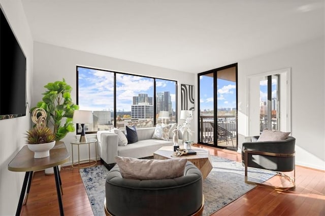 living room with hardwood / wood-style flooring