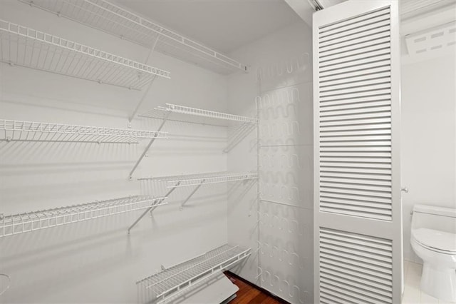 view of walk in closet