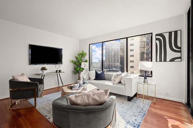 living room featuring hardwood / wood-style flooring