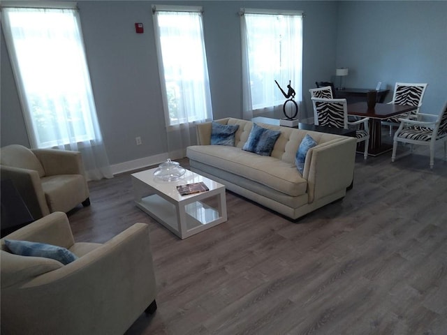 3655 Peachtree Rd Unit 203, Atlanta, GA 30319 - living area featuring wood finished floors and baseboards