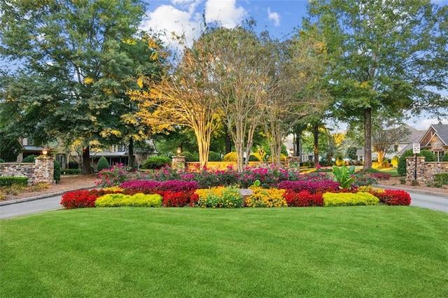 view of property's community with a lawn