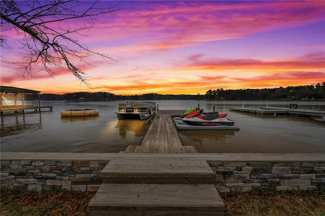 dock area with a water view