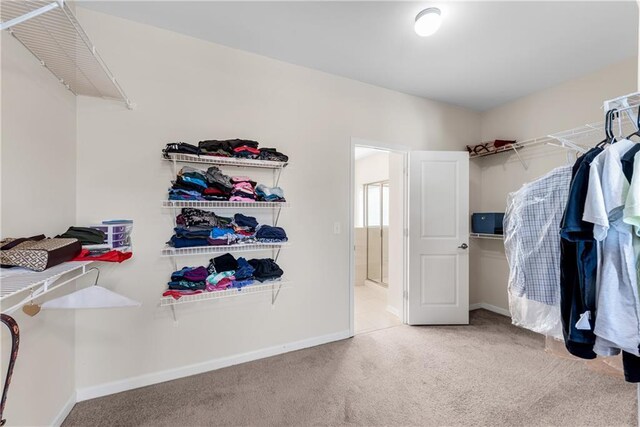 3950 Grandview Manor Dr, Cumming, GA 30028 - spacious closet featuring carpet floors