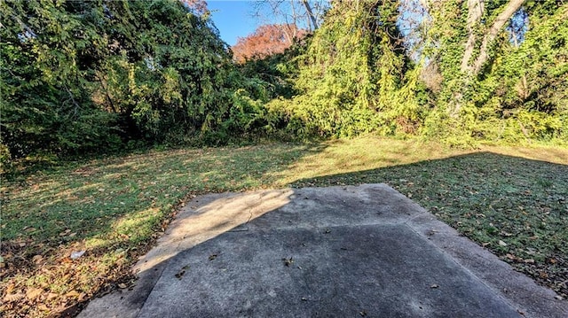 view of yard featuring a patio