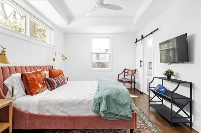 bedroom featuring multiple windows, a barn door, ceiling fan, and dark hardwood / wood-style flooring