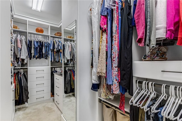 spacious closet with carpet