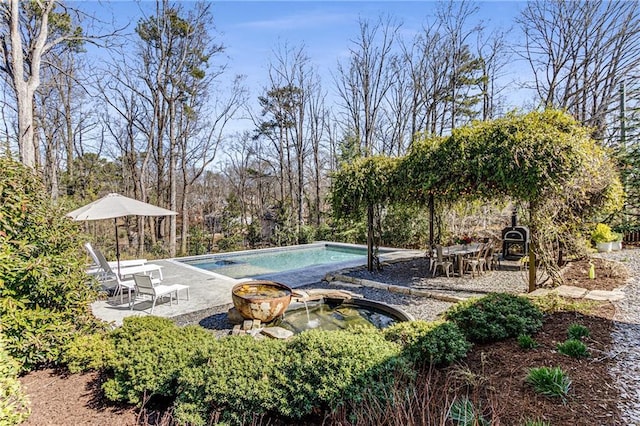 pool with a patio and an outdoor fire pit