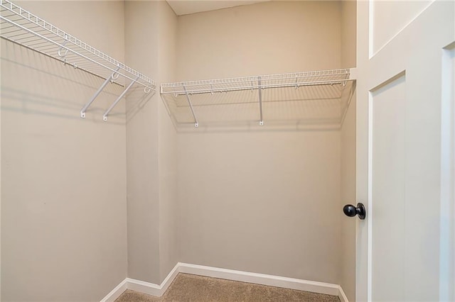 view of walk in closet