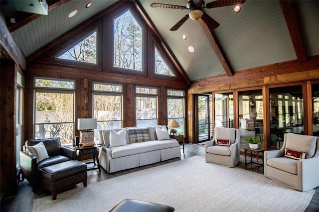 202 Hickory Chase, Carrollton, GA 30117 - sunroom / solarium with plenty of natural light