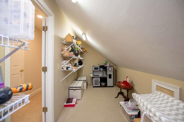 202 Hickory Chase, Carrollton, GA 30117 - bonus room with light colored carpet and vaulted ceiling