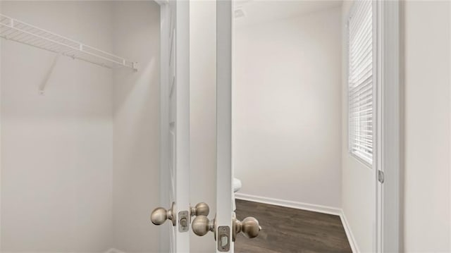 613 Lobelia Way, Locust Grove, GA 30248 - view of closet