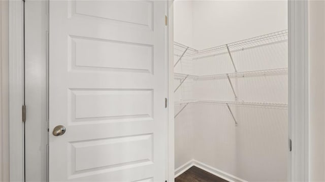613 Lobelia Way, Locust Grove, GA 30248 - view of pantry
