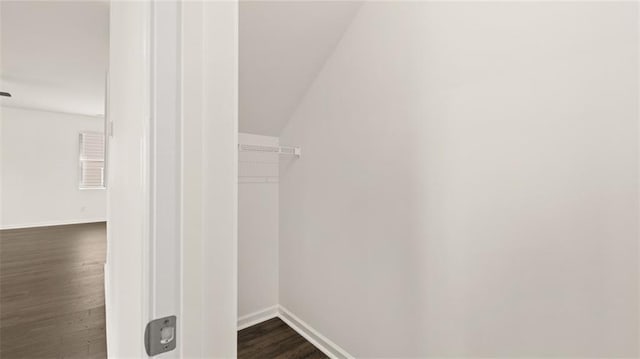 613 Lobelia Way, Locust Grove, GA 30248 - walk in closet featuring dark wood-style flooring