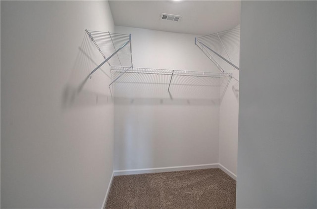 walk in closet featuring carpet