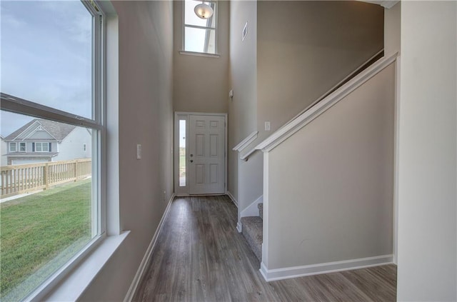 foyer entrance with a towering ceiling and dark wood-type flooring