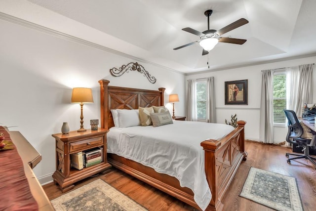 1464 Fieldstone Ct, Winder, GA 30680 - bedroom featuring a raised ceiling, multiple windows, wood finished floors, and a desk