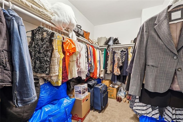 spacious closet featuring carpet