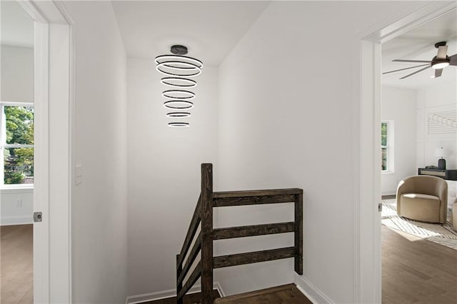 stairway with ceiling fan and wood-type flooring