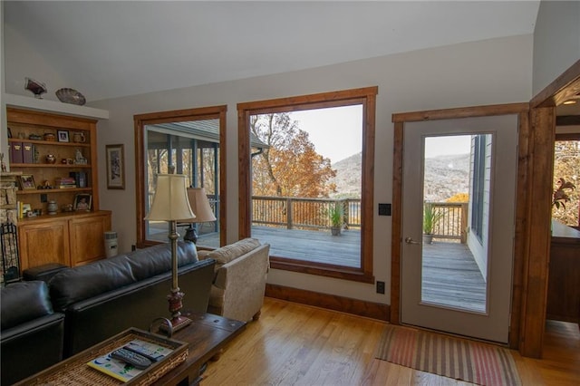 entryway featuring lofted ceiling, a mountain view, and light wood-type flooring